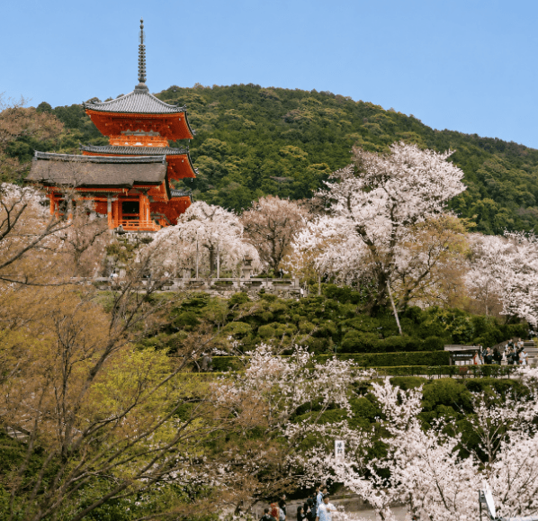 器楽の風景